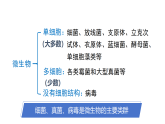 12.1 微生物的特点和主要类型（课件）2025-2026学年北师大版八年级生物上册