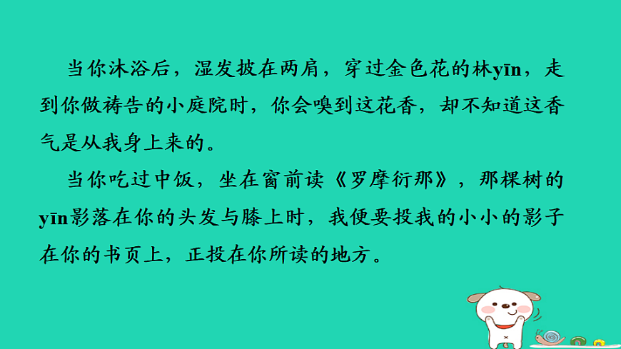 17349652第4页