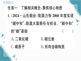 2025年人教版（2024）初中化学九年级上册第六单元跨学科实践活动5  基于碳中和理念设计低碳行动方案习题课课件（含答案）