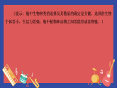 第五单元 生物与环境 综合实践项目 设计并制作生态瓶 （课件） 人教版生物八年级上册