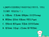 辽宁省2025七年级语文上册期末专题训练一字音字形课件新人教版（含答案）