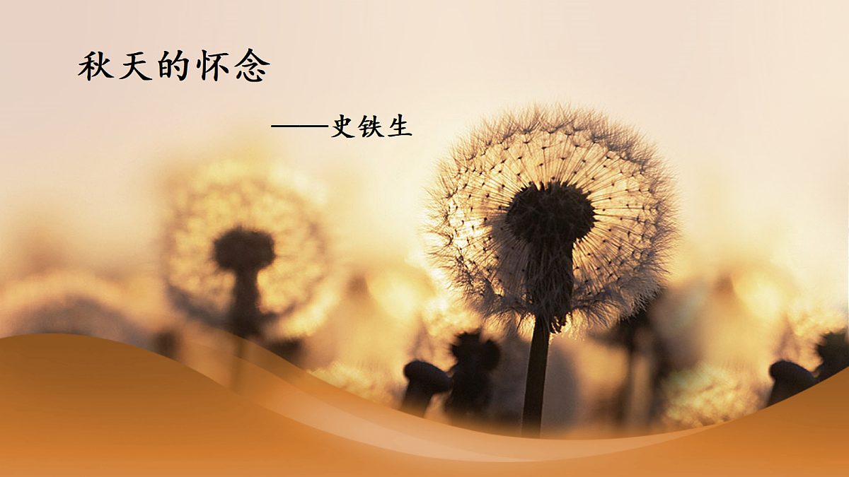 17350149第1页