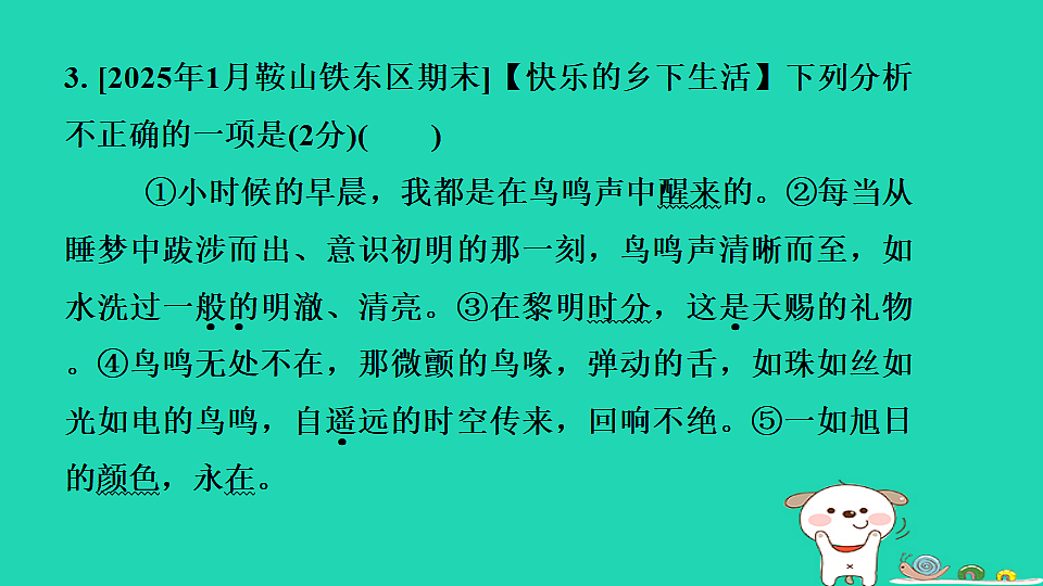 17350237第7页