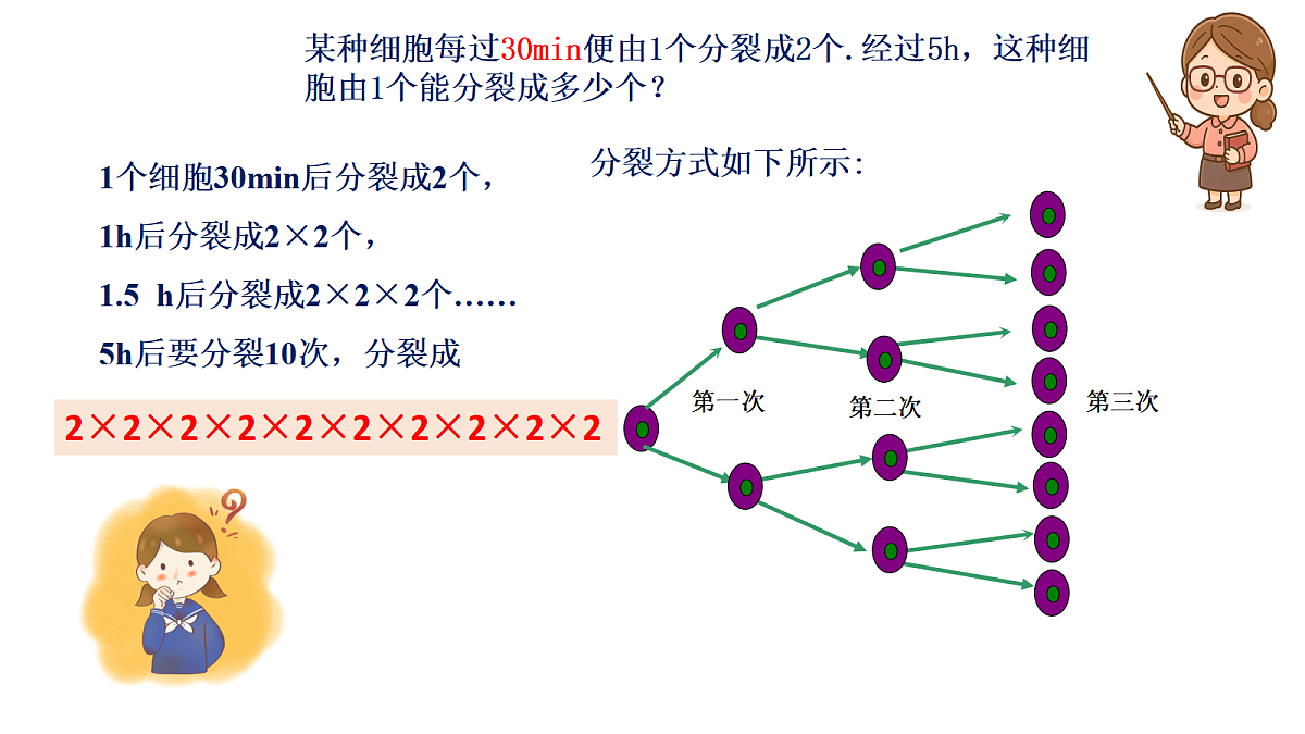 17350317第3页