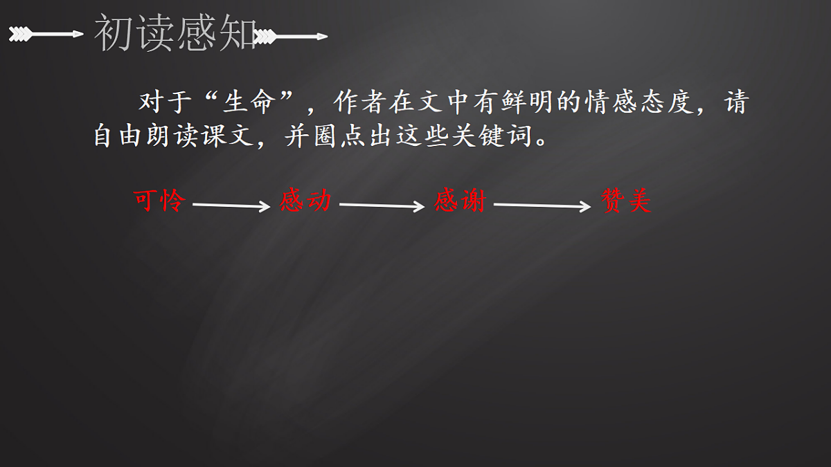 17350464第8页