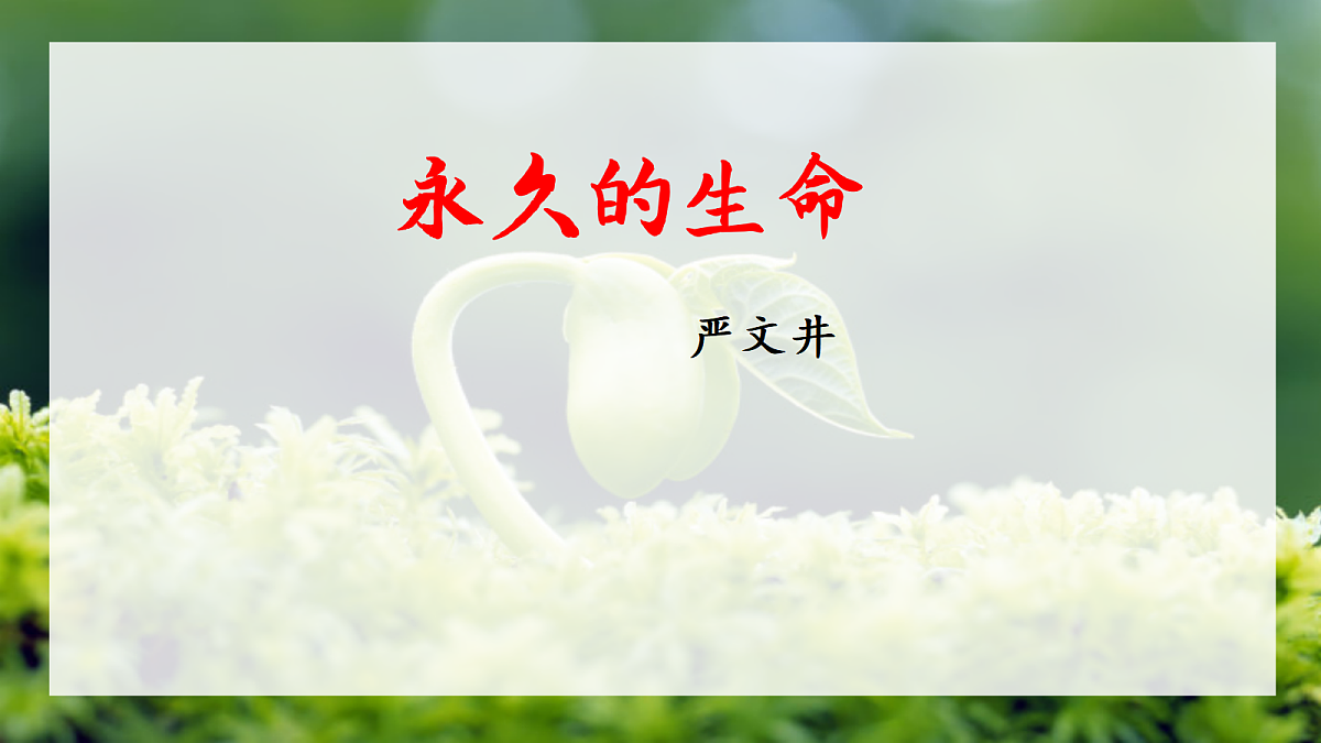17350465第2页