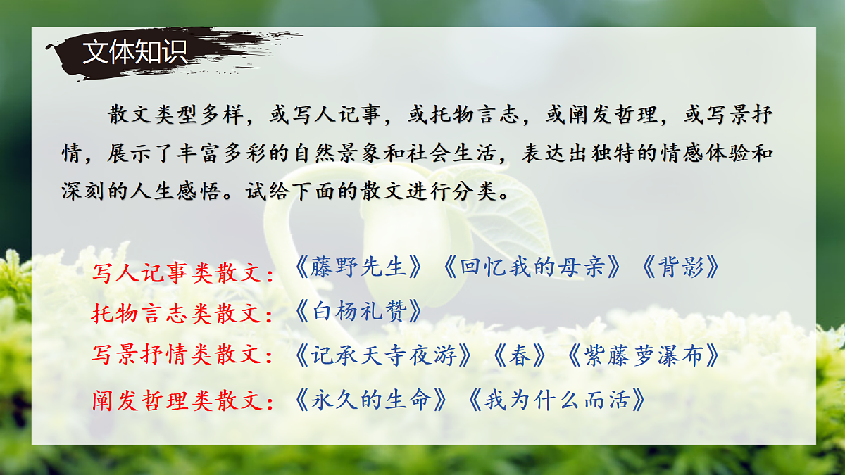 17350465第4页