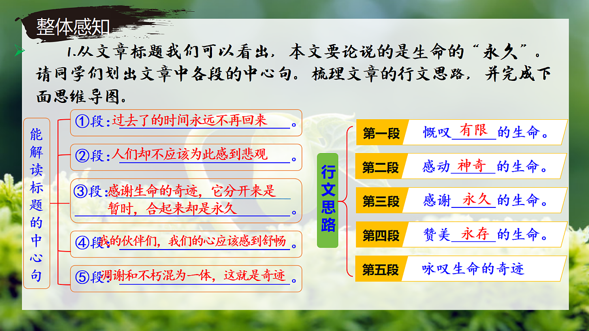 17350465第7页
