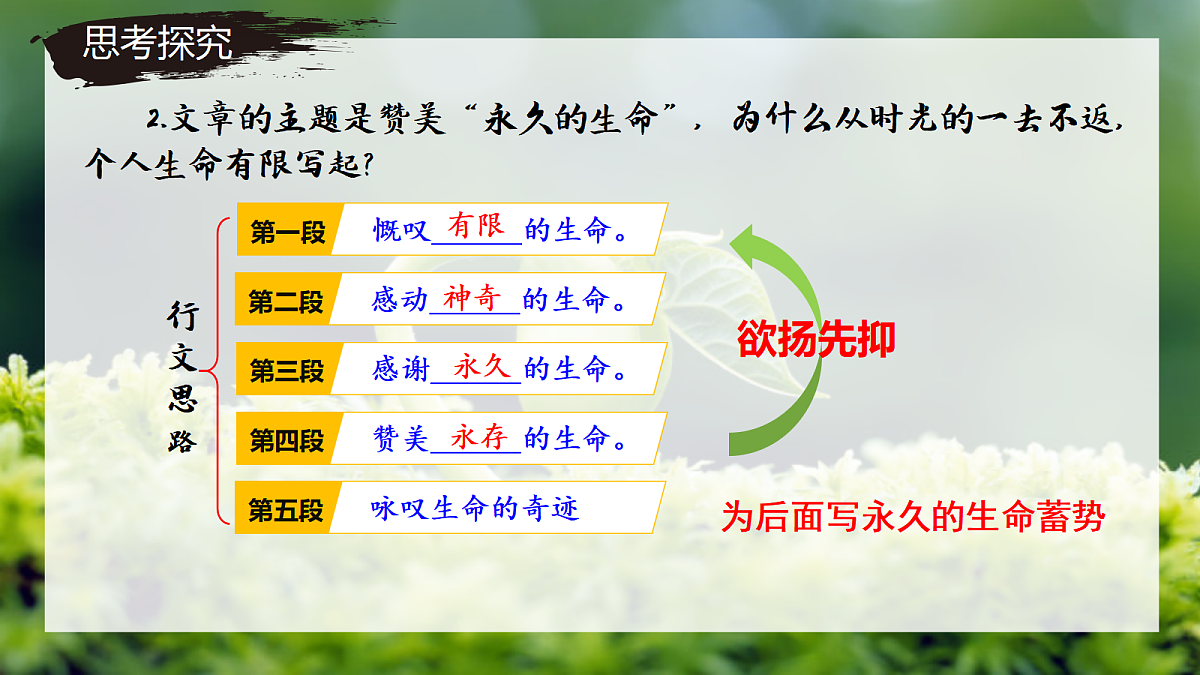 17350465第8页