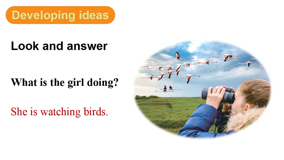 第3课时（Developing ideas）第2页