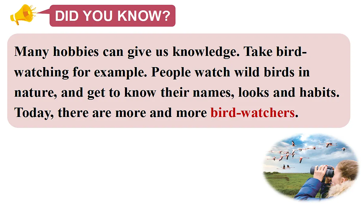 第3课时（Developing ideas）第3页