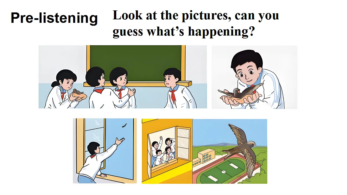 第3课时（Developing ideas）第4页