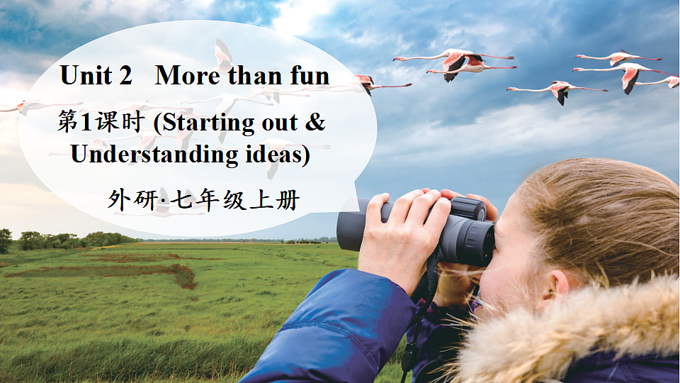 第1课时（Starting out & Understanding ideas）第1页