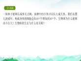 苏教版七年级生物上册第1单元生物体的结构层次第2章生物体的组成2.1细胞的分裂和分化课件+学案+答案