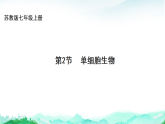 苏教版七年级生物上册第1单元生物体的结构层次第2章生物体的组成2.2单细胞生物课件+学案+答案
