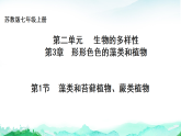 苏教版七年级生物上册第2单元生物的多样性第3章形形色色的藻类和植物3.1藻类和苔藓植物、蕨类植物课件+学案+答案