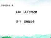 苏教版七年级生物上册第2单元生物的多样性第4章千姿百态的动物4.1无脊椎动物课件+学案+答案