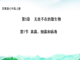 苏教版七年级生物上册第2单元生物的多样性第5章无处不在的微生物5.1真菌、细菌和病毒课件+学案+答案