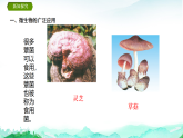 苏教版七年级生物上册第2单元生物的多样性第5章无处不在的微生物5.2微生物和人类的关系课件+学案+答案
