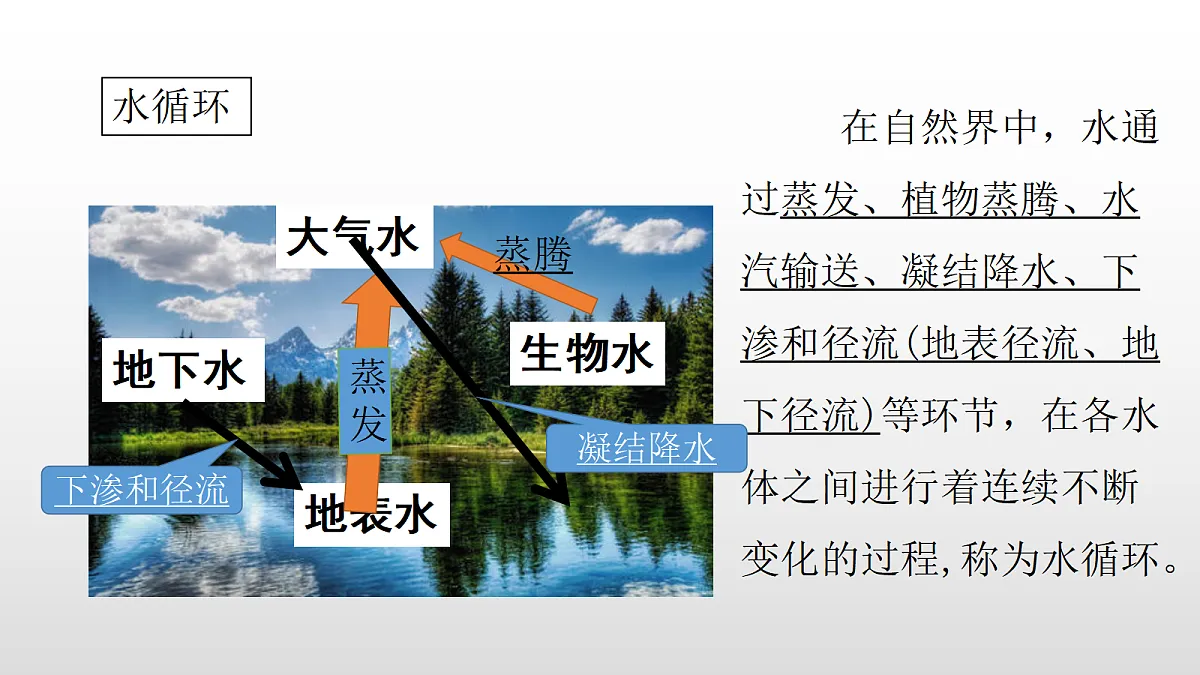 17350965第2页