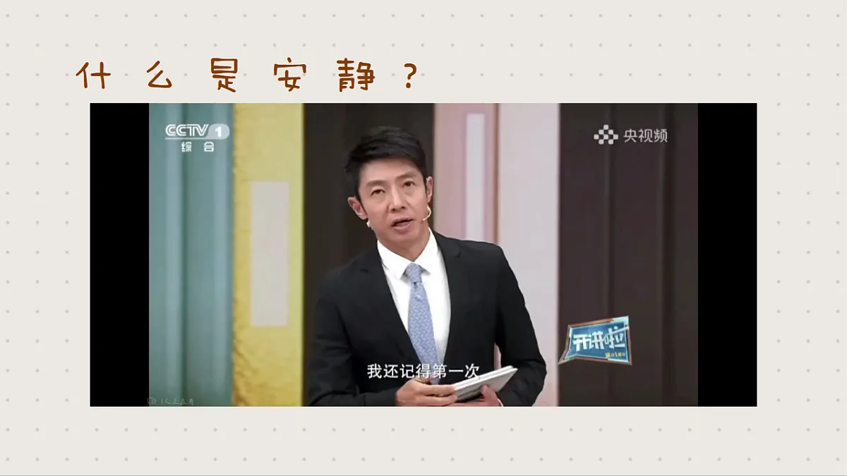 17351313第3页