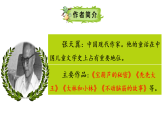 11 宝葫芦的秘密（节选）（课件+教案+备课素材）2025-2026学年部编版语文三年级上册