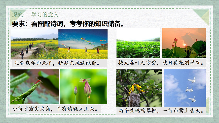 17351929第7页