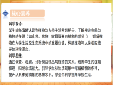 【核心素养目标】粤教粤科版三上科学  1.7 植物和我们（教学课件+教学设计表格式+分层练习含答案）