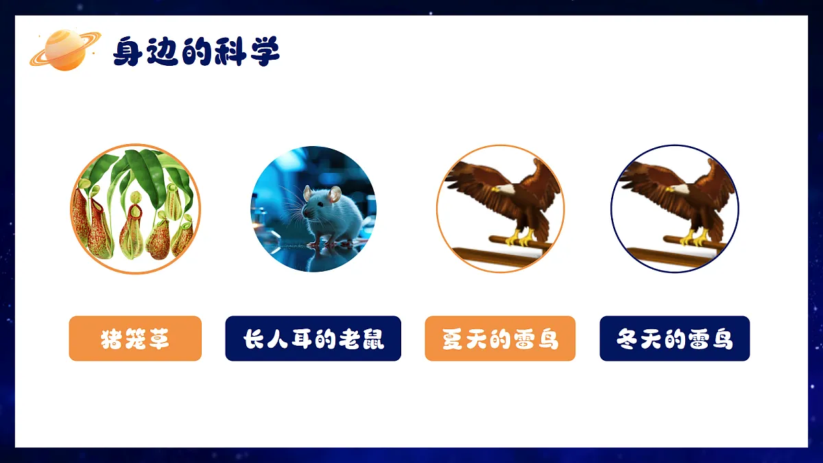 17352576第6页