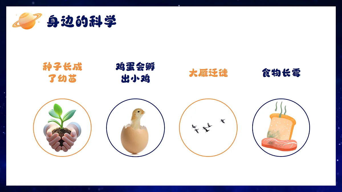 17352576第8页