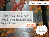 人教统编小学语文三年级上册第2单元《6.秋天的雨》课件+教学设计