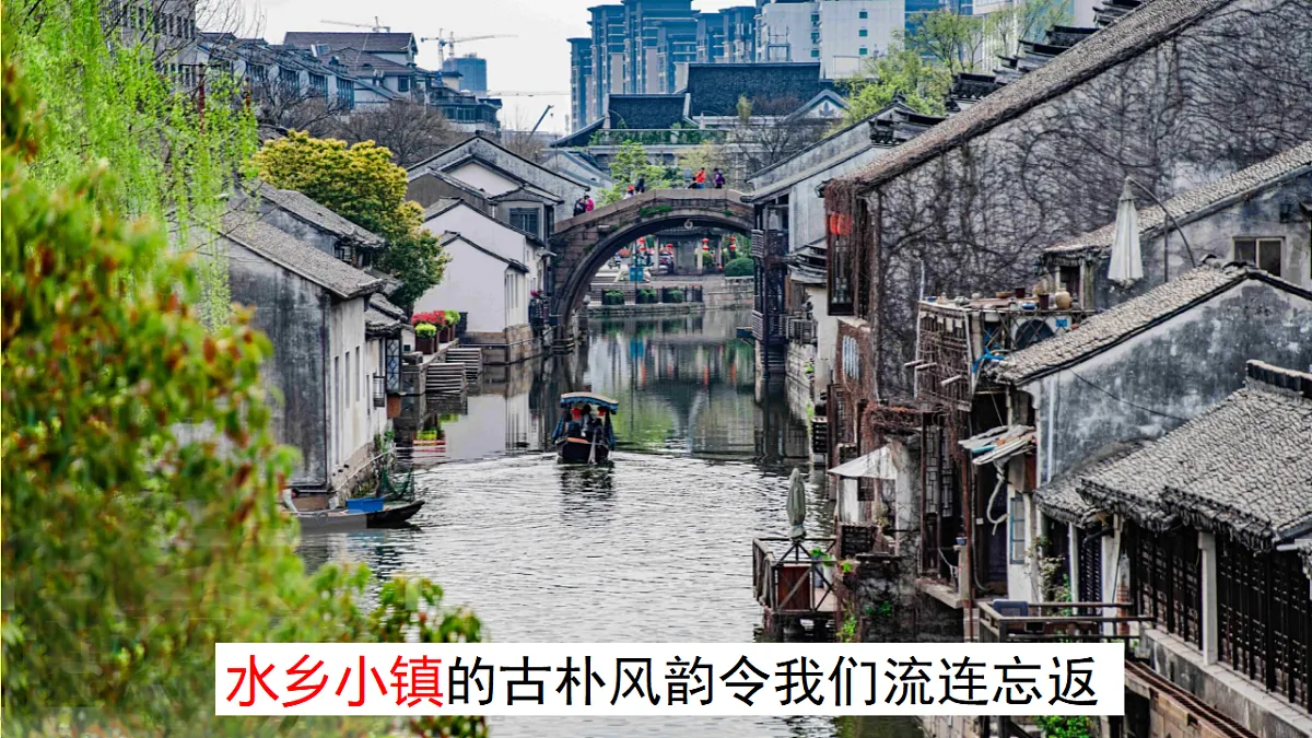 17352668第3页