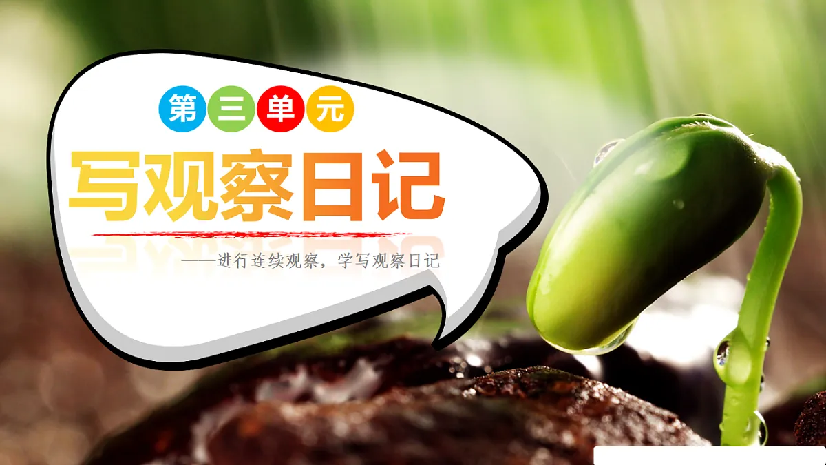 17352670第1页