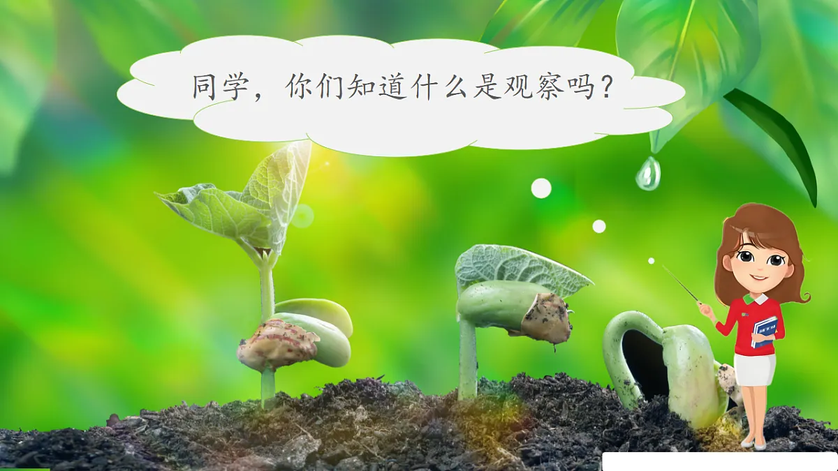 17352670第2页