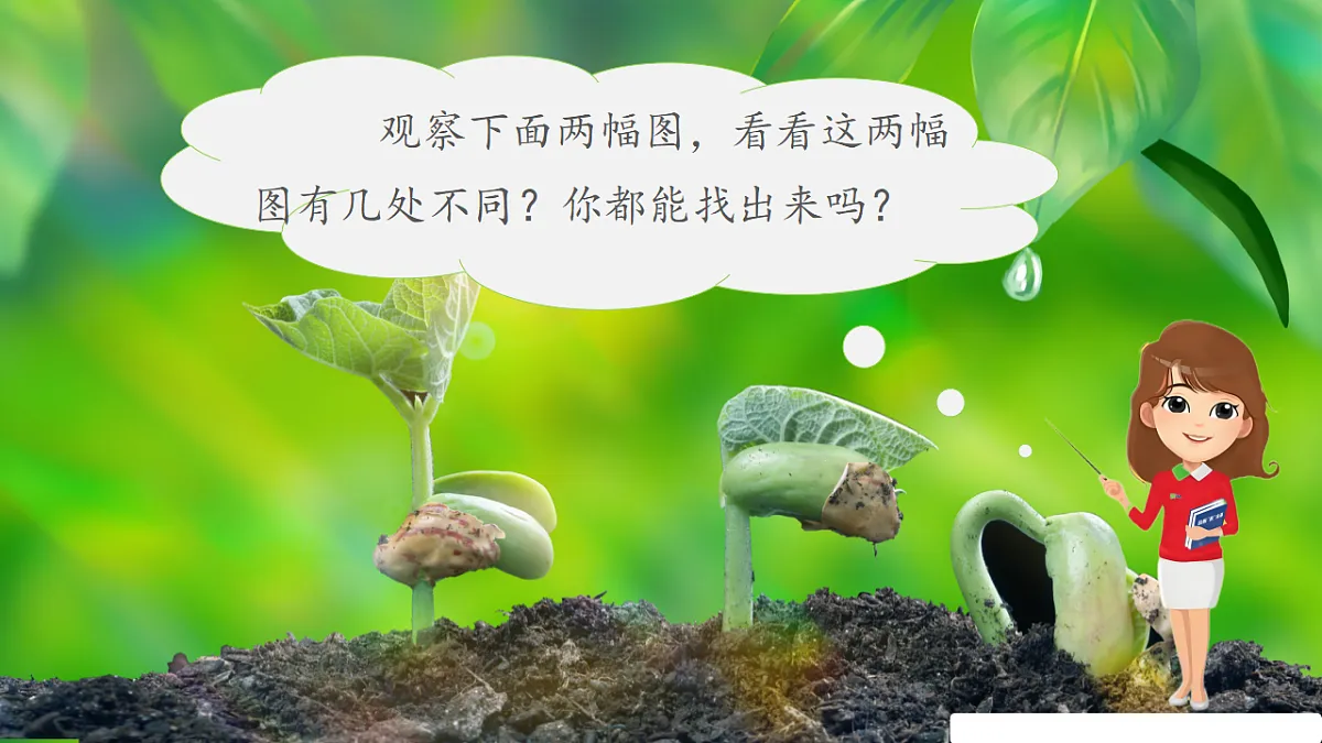 17352670第4页