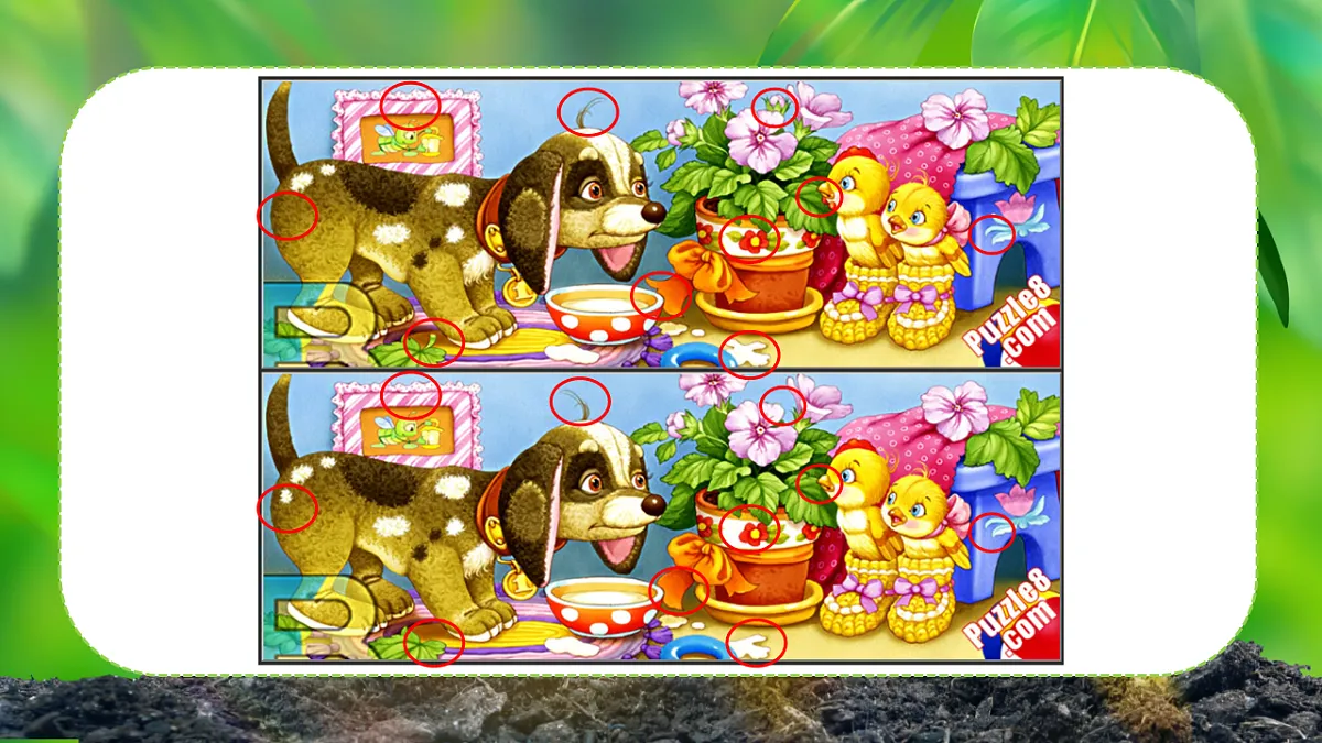 17352670第5页