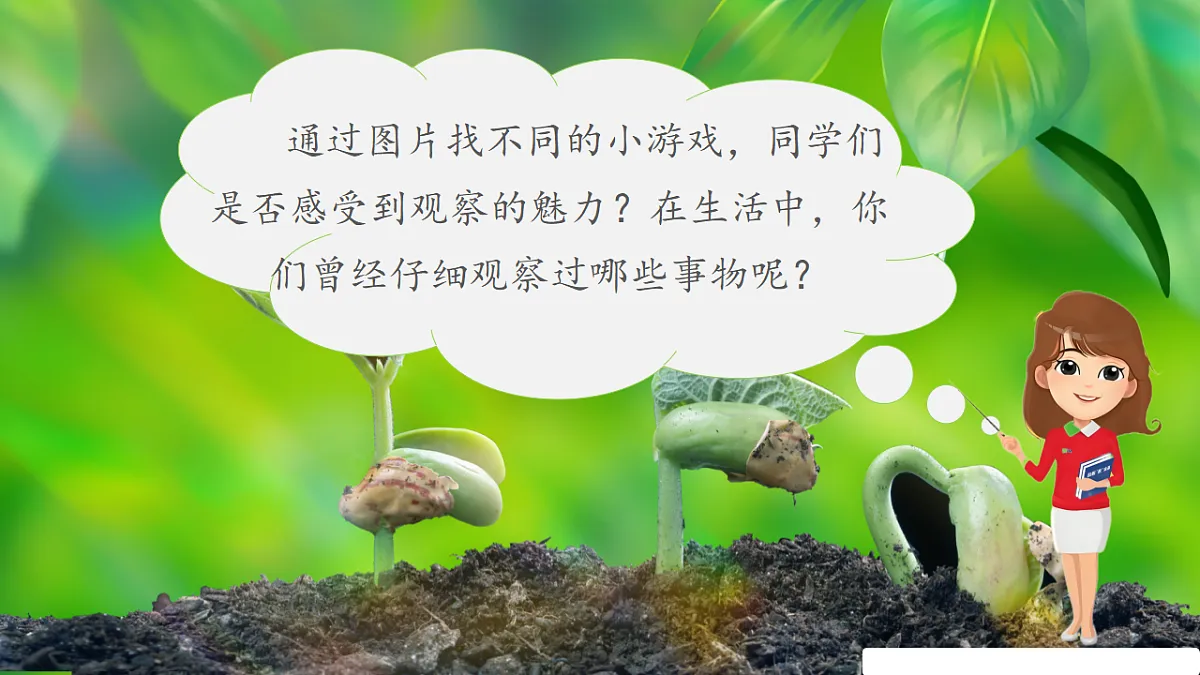 17352670第6页