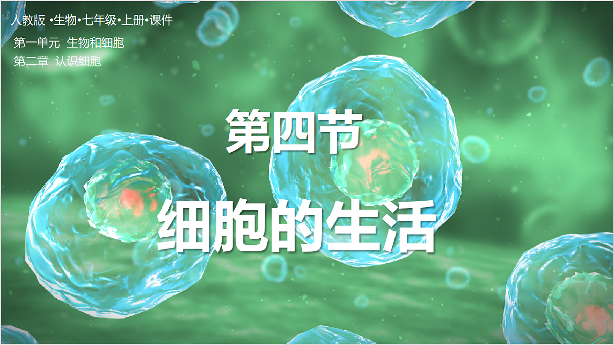 17352872第2页