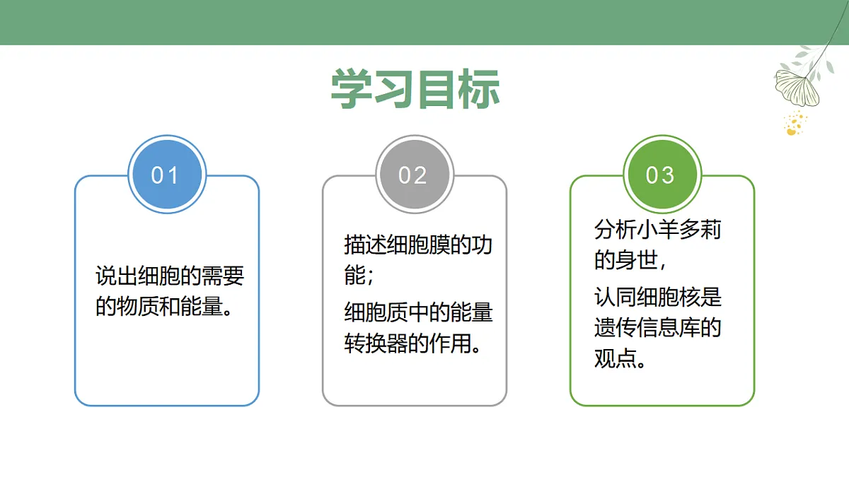 17352872第3页