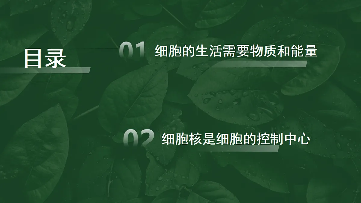 17352872第4页