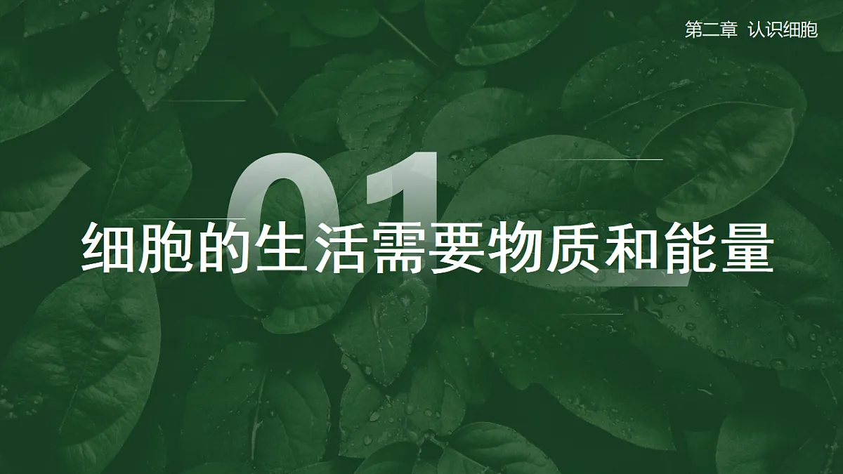 17352872第5页