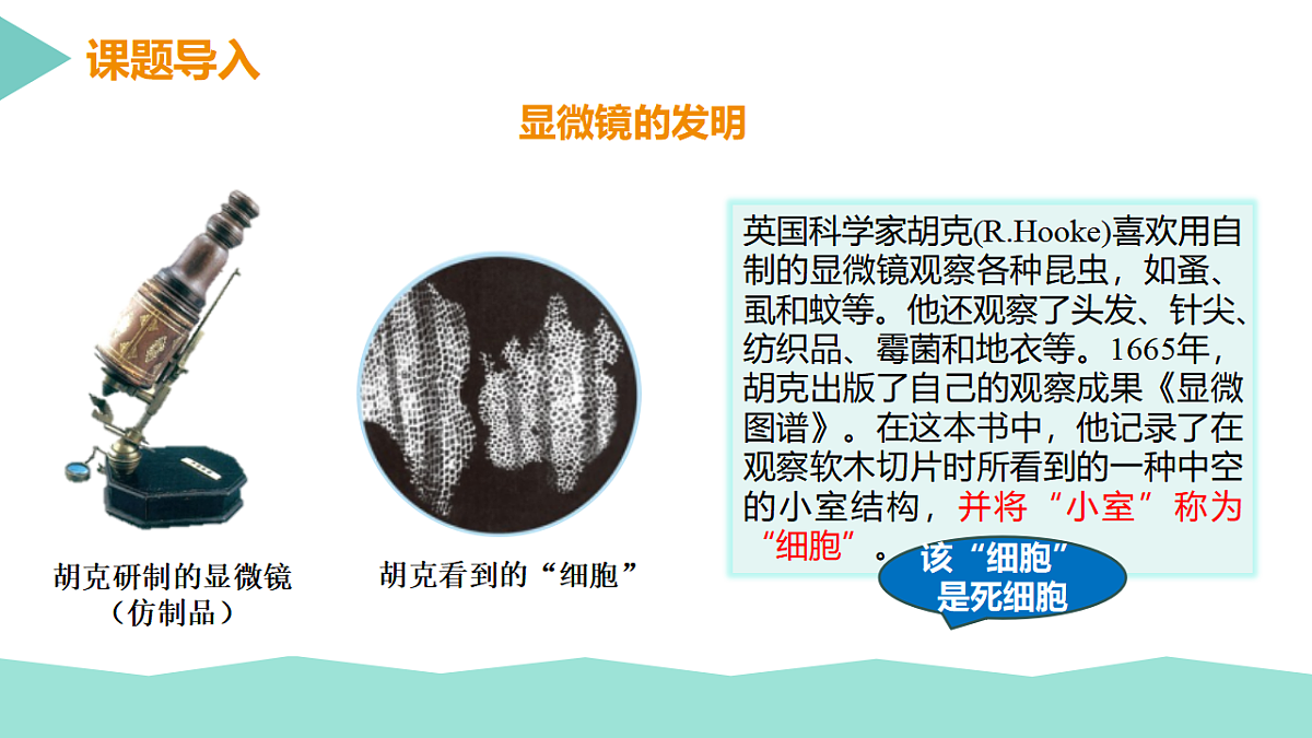 17352873第2页