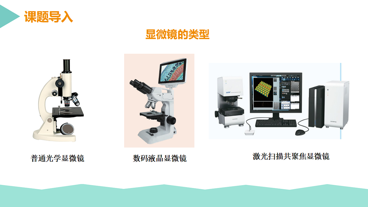 17352873第3页