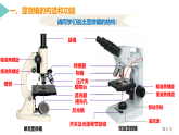 人教版生物七年级上册1.2.1《学习使用显微镜》课件