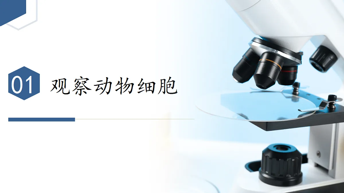17352874第4页