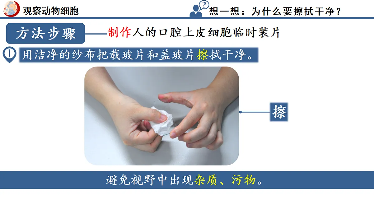 17352874第6页