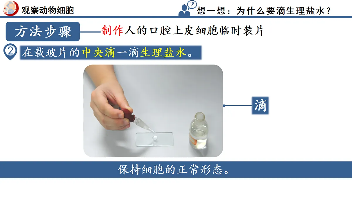 17352874第7页