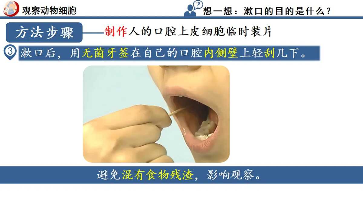 17352874第8页