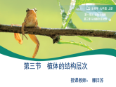人教版生物七年级上册1.3.3《植物体的结构层次》课件