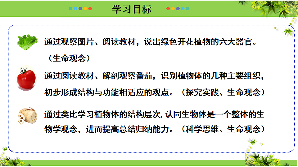 17352875第4页